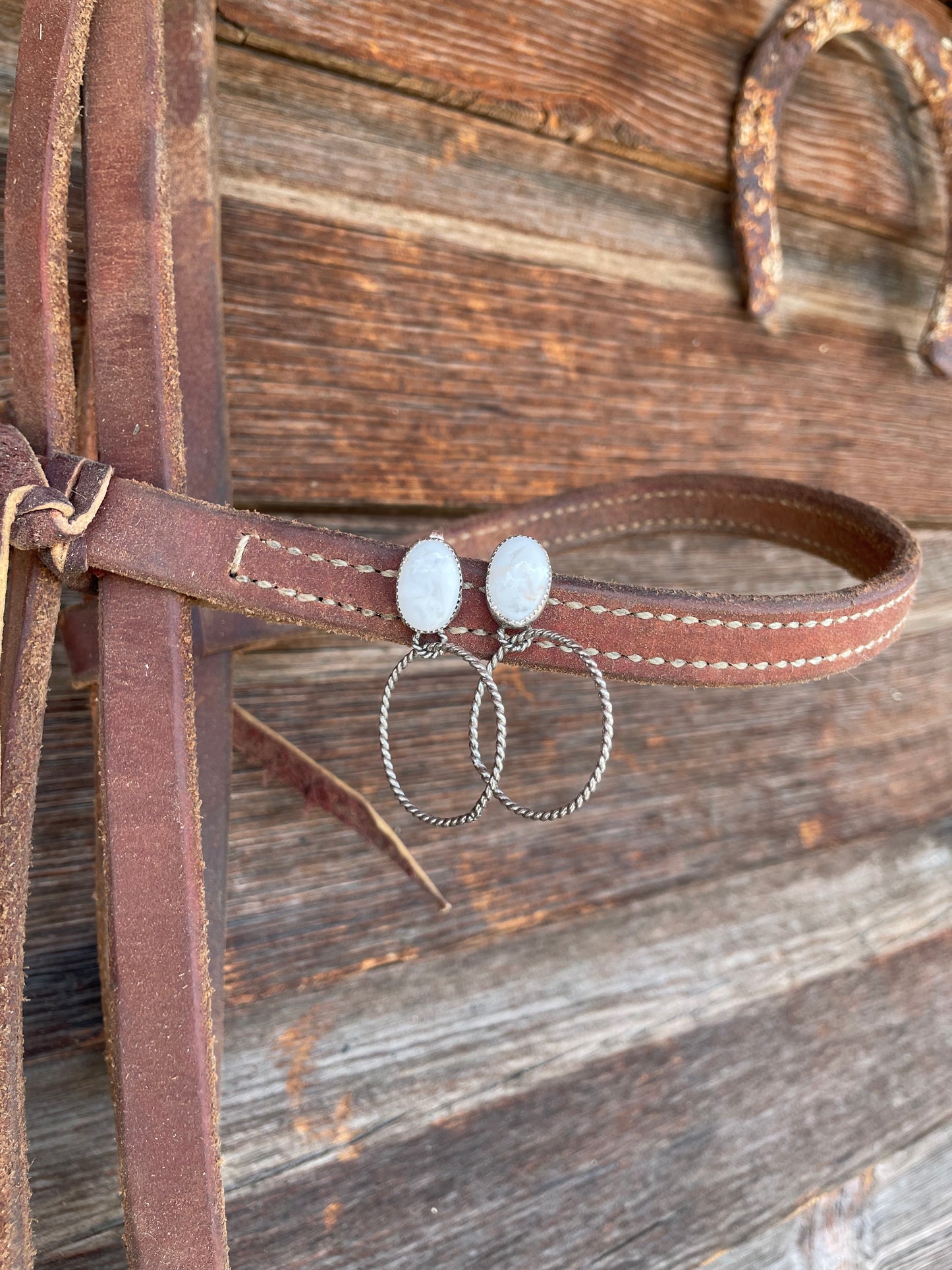 The Lasso