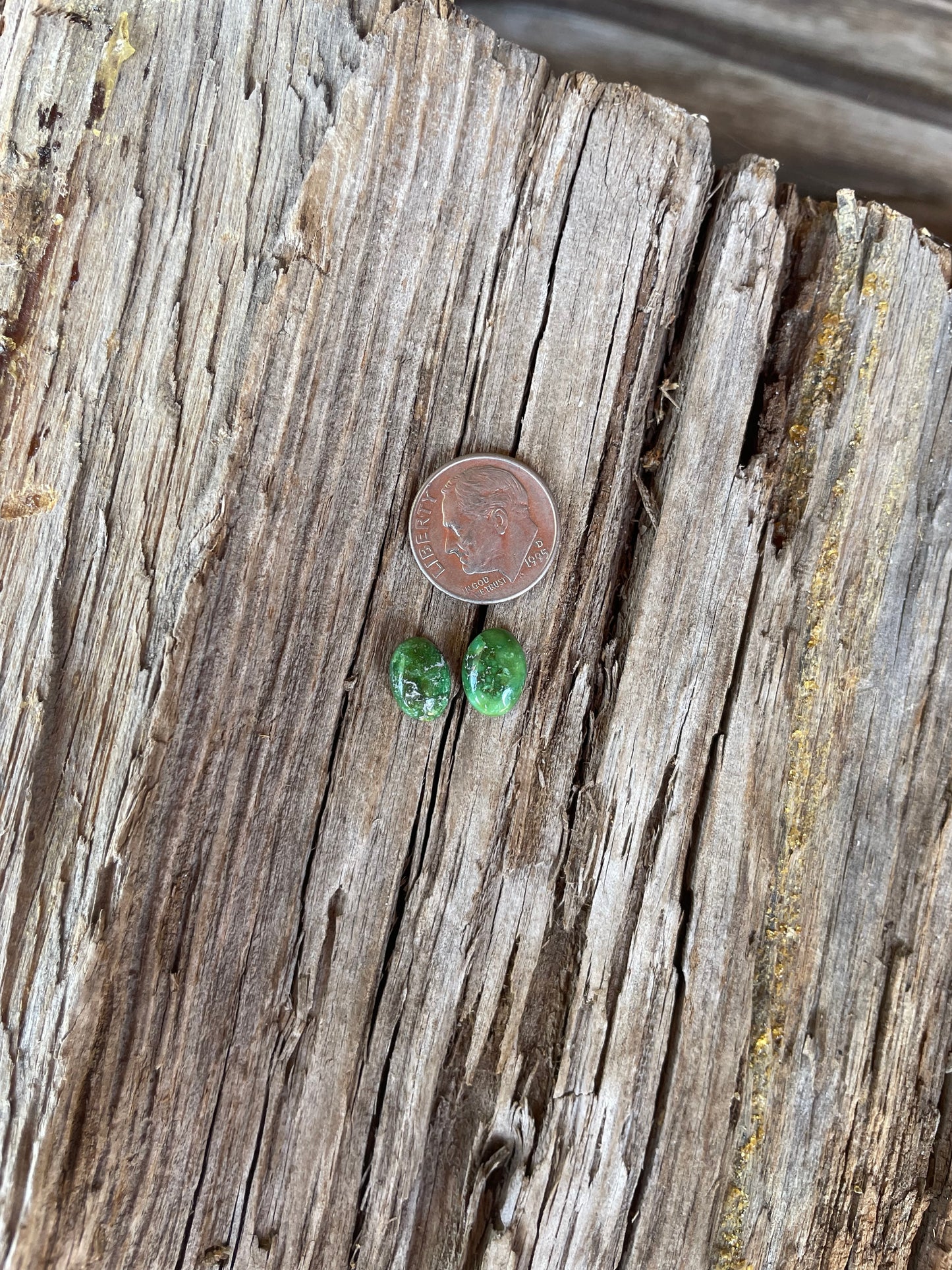 Stone Set Chap Studs