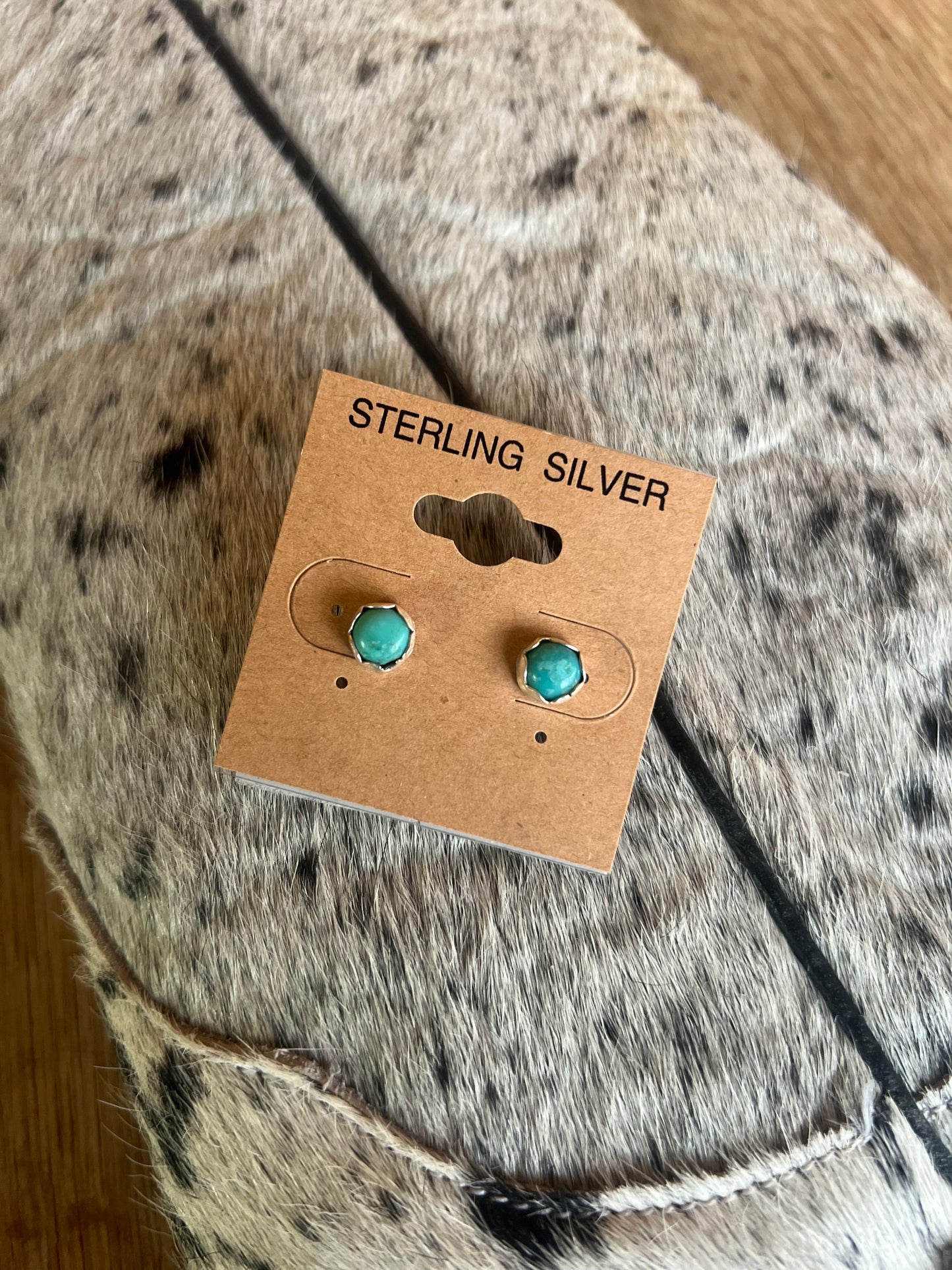 The Sierra Everyday Stud Earrings
