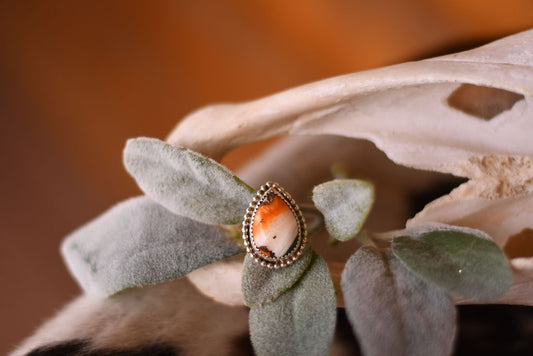 Multi-Colored Turquoise Ring