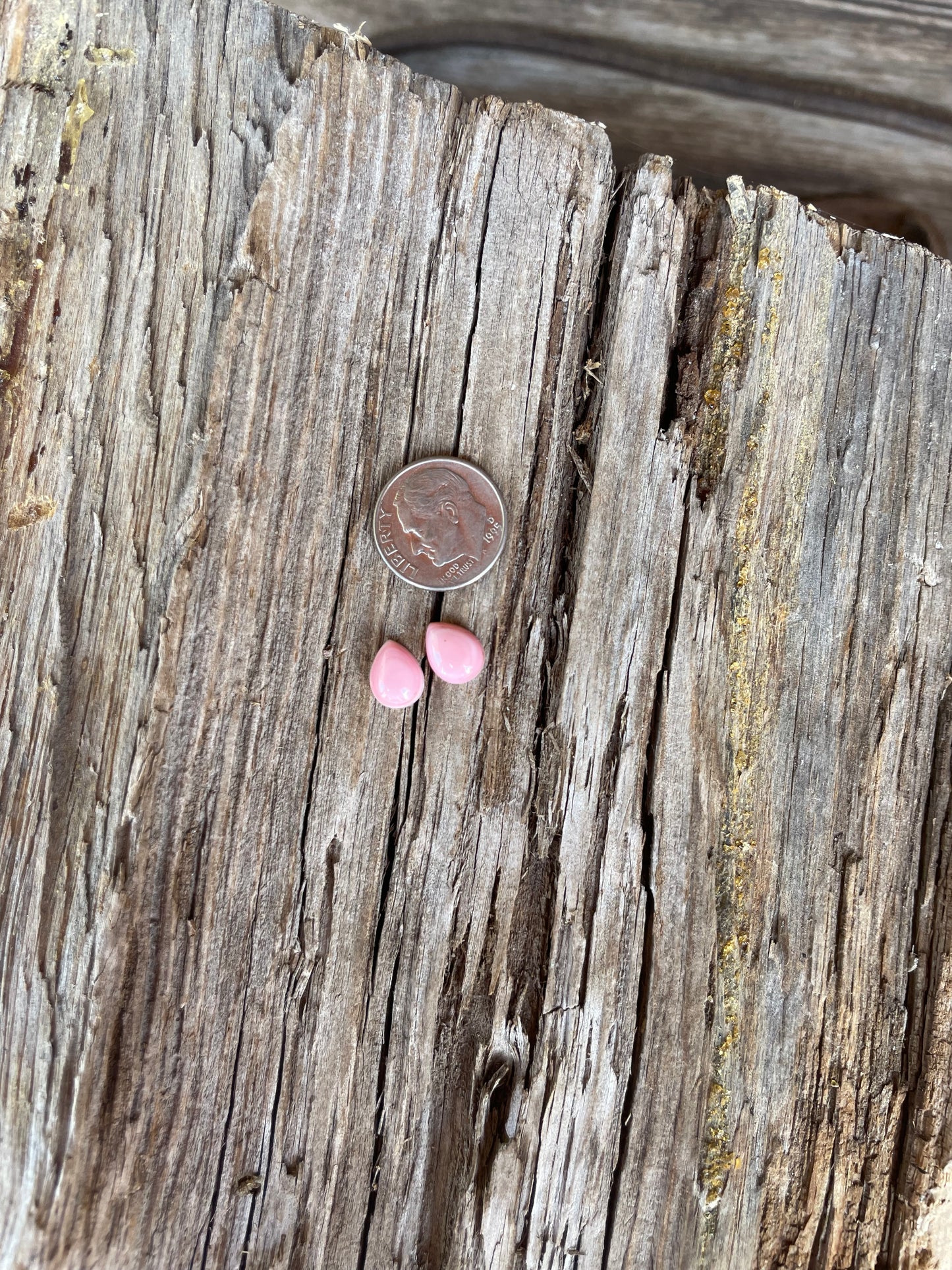 Stone Set Chap Studs