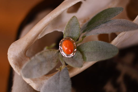 Spiny Oyster Turquoise Ring
