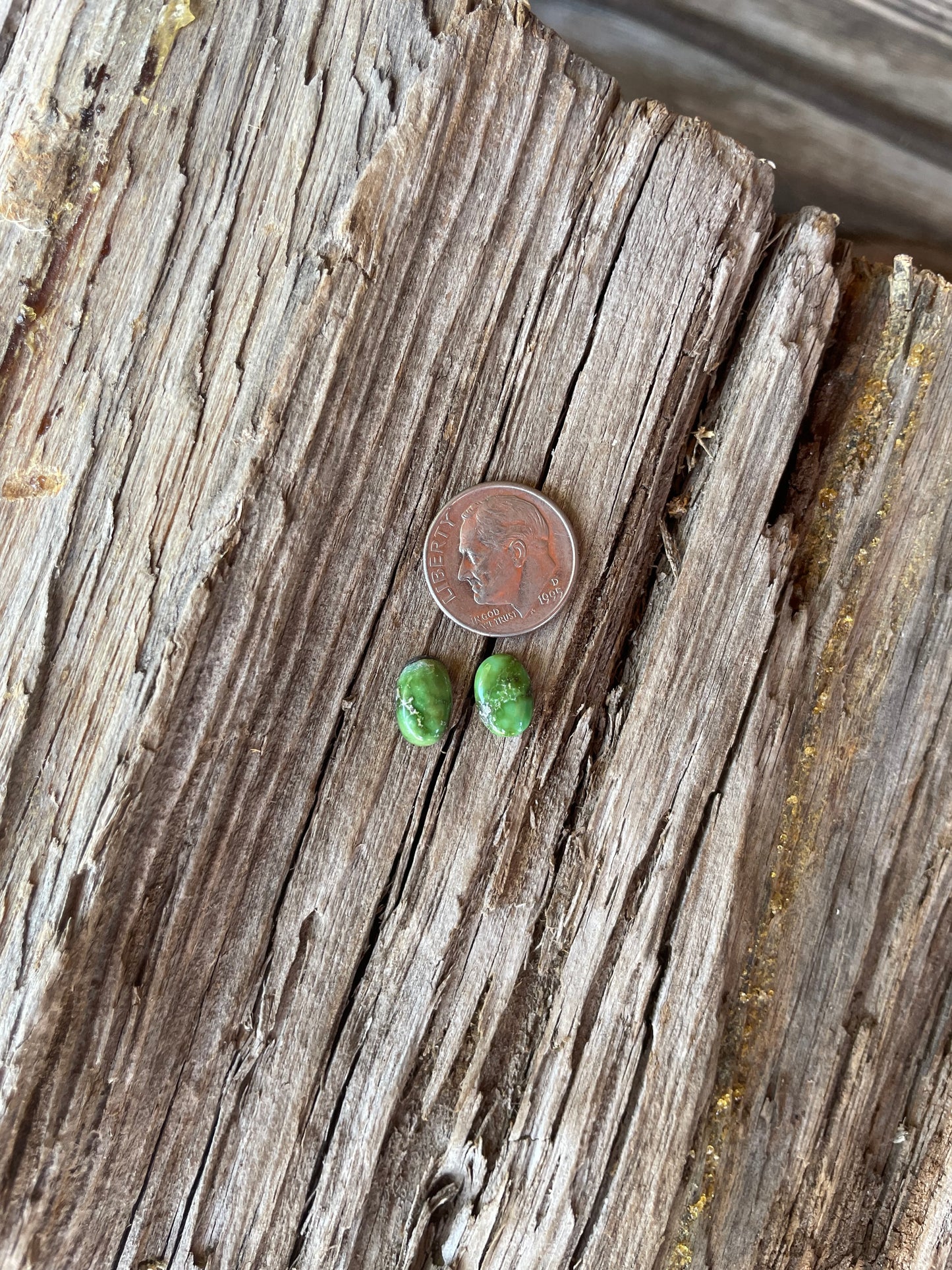 Stone Set Chap Studs