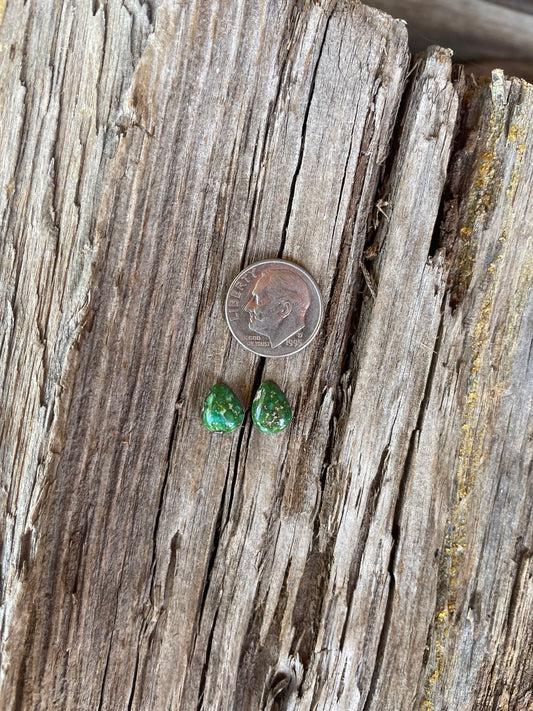 Stone Set Chap Studs